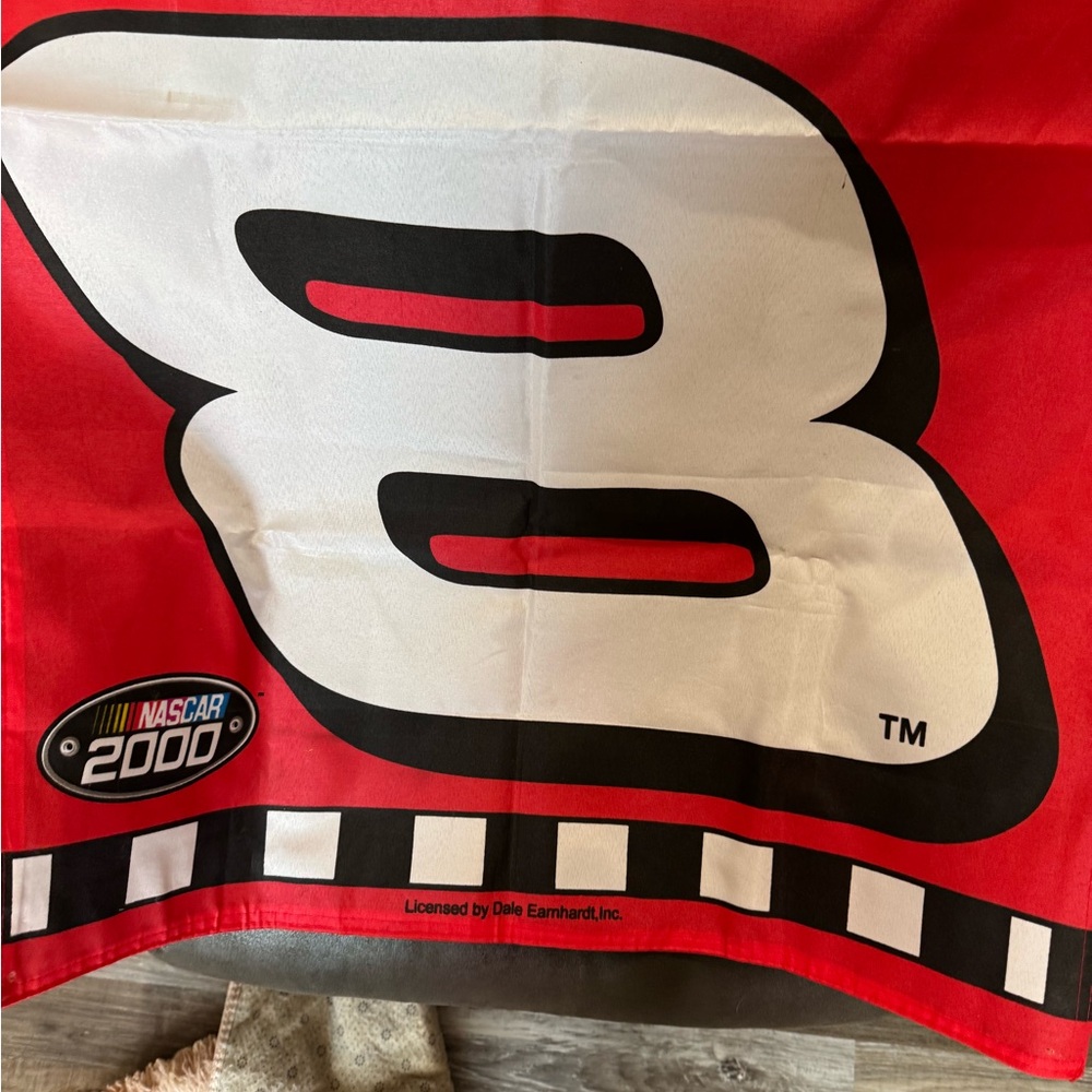 Dale Earnhardt Jr. Nascar 2000 Red Racing Banner - Picture 5 of 14
